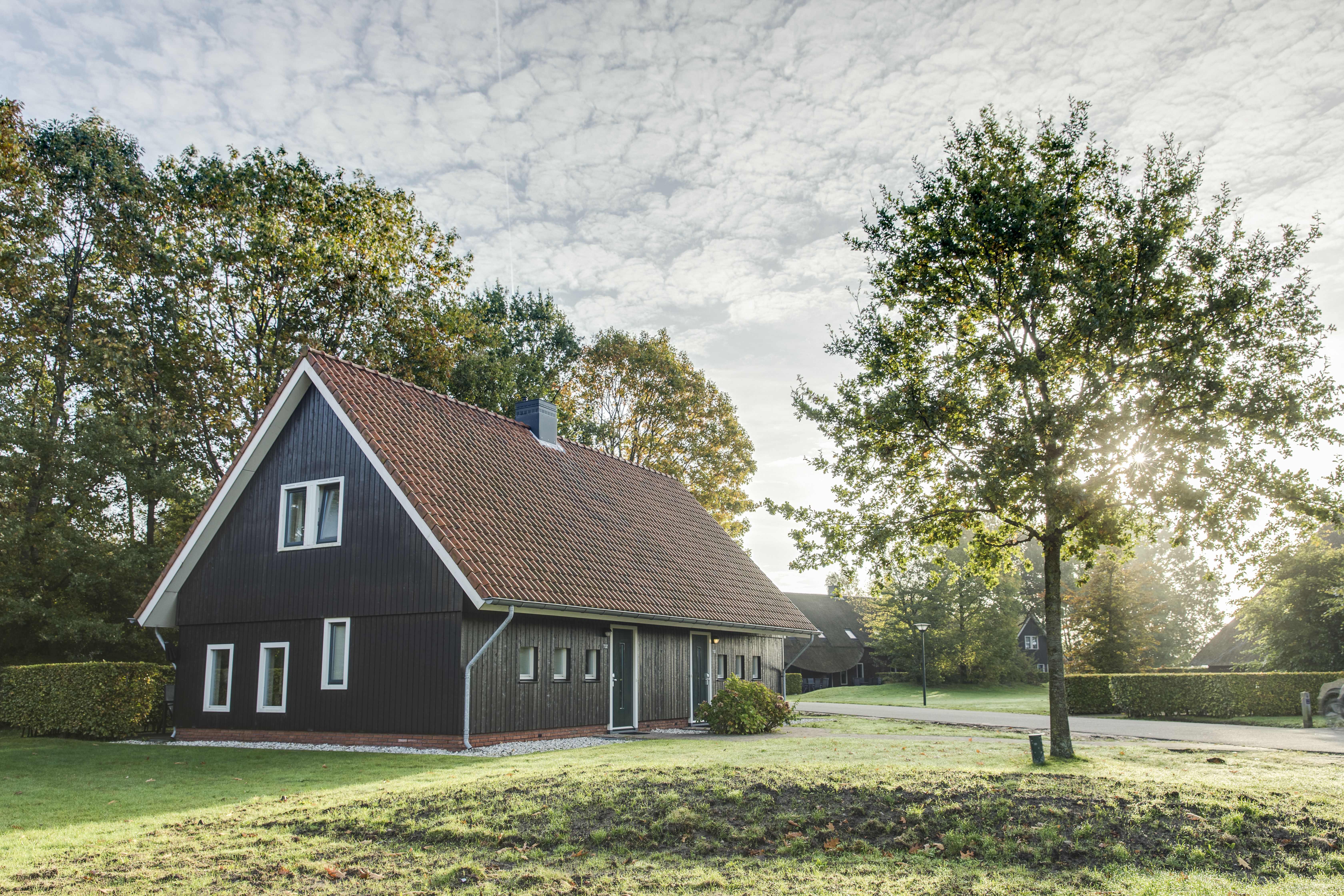 HSN Belevingsfotografie herfst 2017