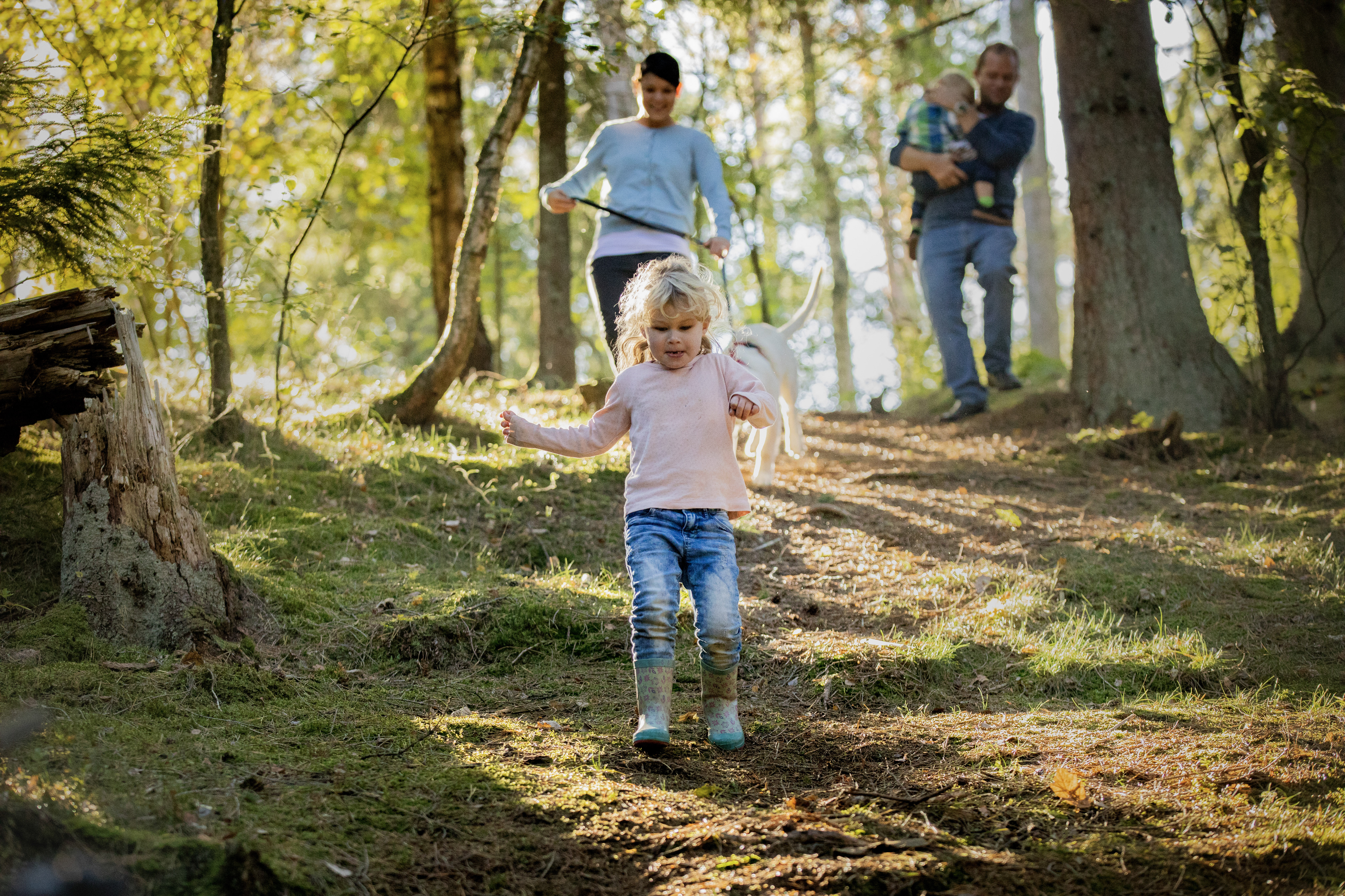 SDT belevingsfotografie 2018