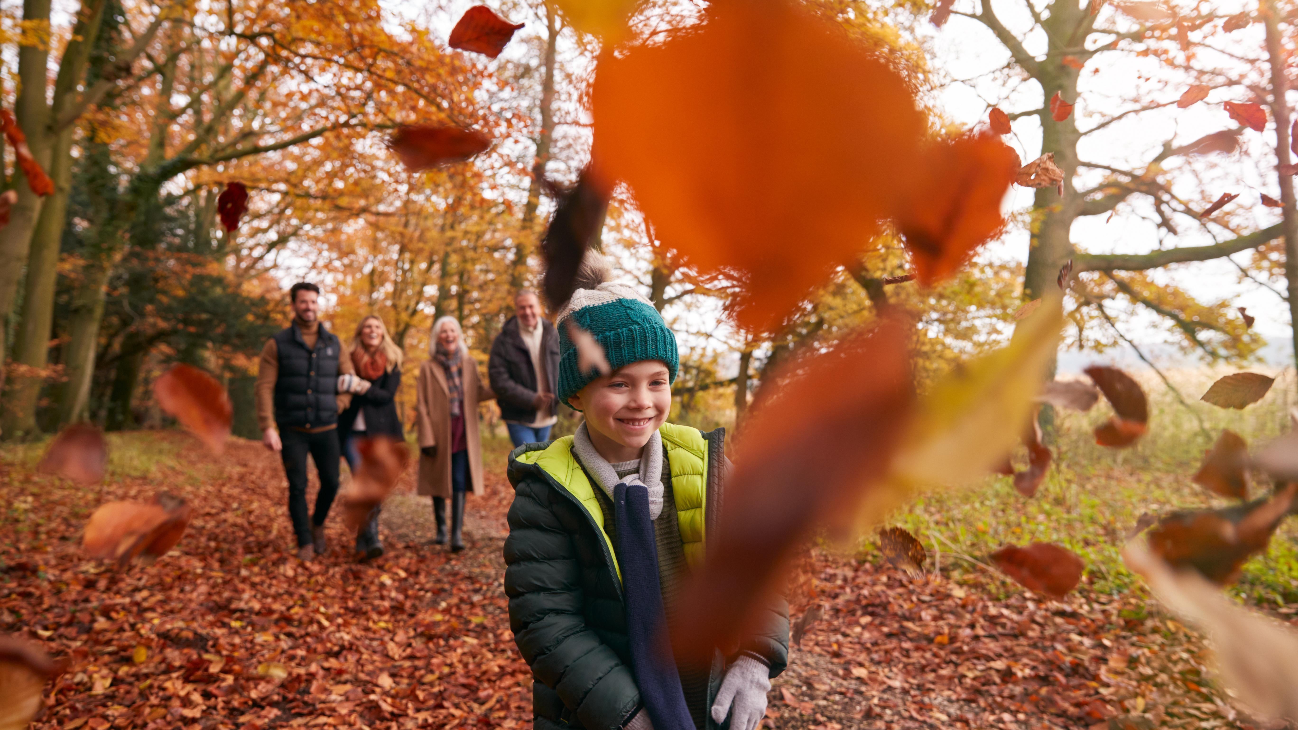 Stock_Children Throwing Leaves As Multi-Generation Family Walk Along Autumn Woodland Path