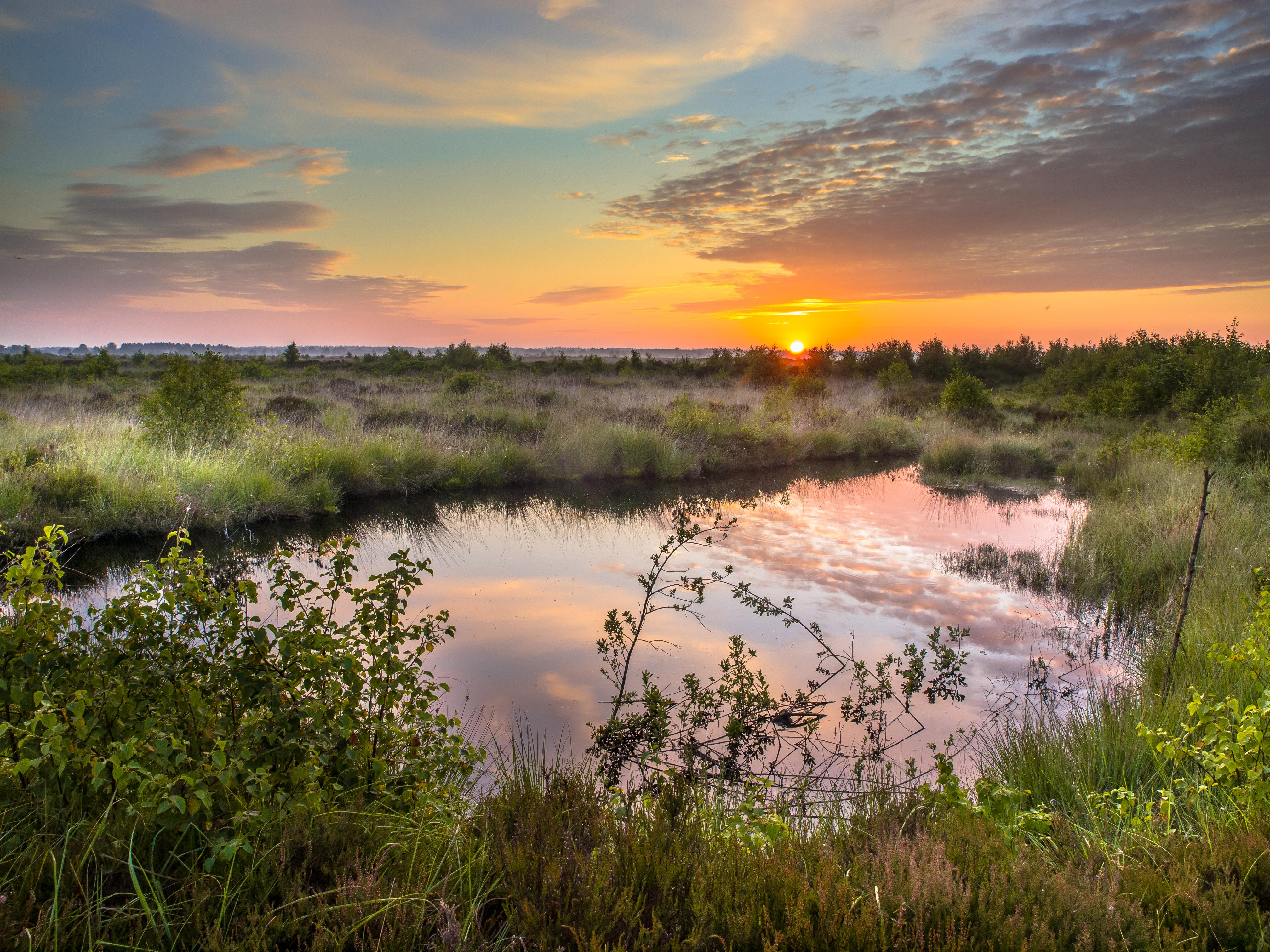 Sunrise over Fochteloerveen swamp nature reserve in Drenthe, the Netherlands