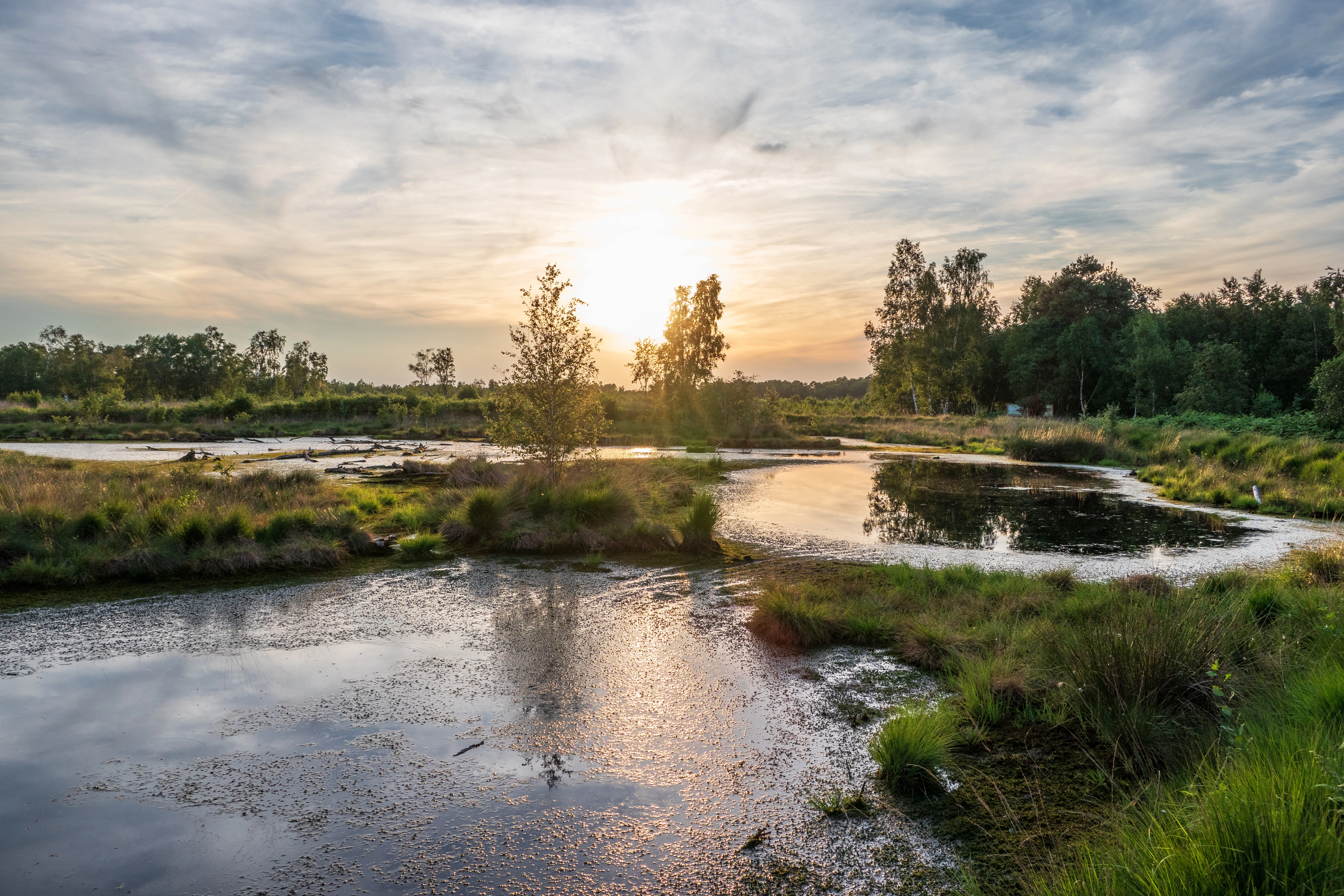 Nature reserve Moorwelten