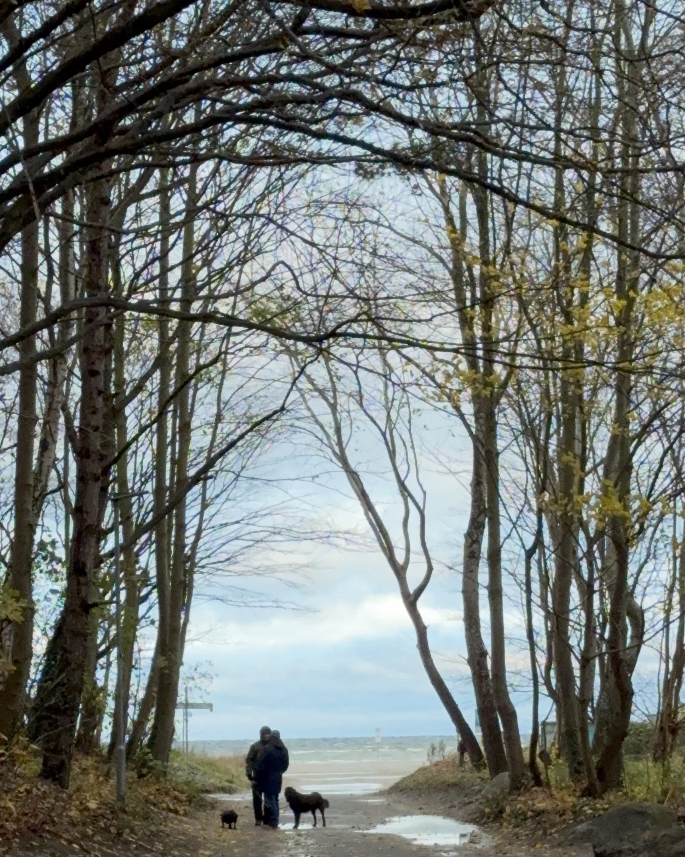 Spaziergänger mit Hund auf Weg zu Strand und Meer